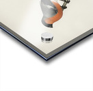 Pyrrhula Pyrrhula Acrylic print