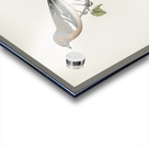 Chaffinch male Fringilla coelebs Acrylic print