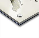 Chloris Chloris Acrylic print