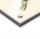 Sedge warbler Acrocephalus schoenobaenus Acrylic print