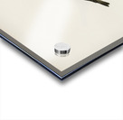 Black Stork Ciconia nigra Acrylic print