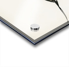 Long-tailed Duck male Harelda hyemalis Acrylic print