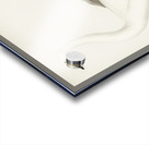 Whooper Swan Cygnus cygnus Acrylic print