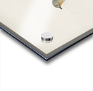 Red-breasted flycatcher ♂ Ficedula parva Acrylic print