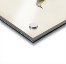 Willow Warbler Phylloscopus trochilus Acrylic print