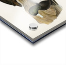 Greater Scaup Scaup Nyroca marila Acrylic print