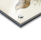 Bittern Botaurus stellaris Acrylic print