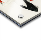 White stork ♀ Ciconia ciconia Acrylic print