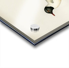 Little gull Larus minutus Acrylic print