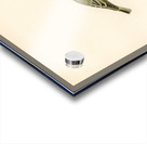 Wood Warbler Phylloscopus sibilatrix Acrylic print