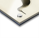 Green Sandpiper Totanus ochropus Acrylic print