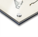 Coal Tit Parus Ater and Marsh Tit Parus Palustris Acrylic print