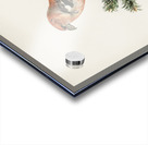 Two-barred crossbill Loxia leucoptera bifasciata Acrylic print