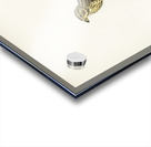 Corn bunting EMBERIZA CARLANDRA Acrylic print