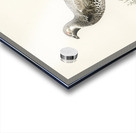 lyrurus tetrix tetrastes bonasia Acrylic print