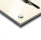 Eurasian jay Garrulus glandarius Acrylic print