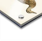 Mallard female Anas platyrhynchos Impression Acrylique