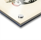 Dryobates medius Acrylic print