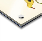 Eurasian golden oriole male Oriolus oriolus bird Acrylic print