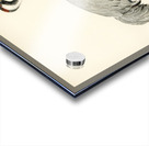 Common Crane Grus Grus Acrylic print