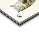 Eurasian eagle-owl BUBO BUBO Acrylic print