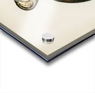 Young horned grebe Podiceps auritus Acrylic print