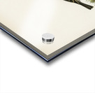 Meadow pipit Anthus pratensis Acrylic print