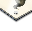 Eurasian coot Fulica atra Acrylic print