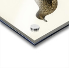 Great skua Stercorarius skua Acrylic print