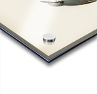 SITTA EUROPAEA LIN Acrylic print