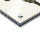 Great cormorant Phalacrocorax Carbo Acrylic print