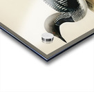 Black-throated loon Colymbus Arcticus Impression Acrylique