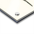 Pied Wagtail Motacilla alba Acrylic print