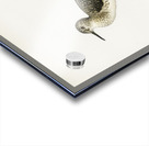 Wood Sandpiper Totanus Glareola Acrylic print