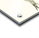 Caspian lern HYDROPROGNE CASPIA Acrylic print