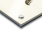 Eurasian Tree Sparrow Tree Sparrow Passer montanus Acrylic print