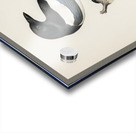 Eurasian magpie PICA PICA Acrylic print