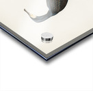 Great cormoran Phalacrocorax Carbo Acrylic print