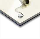 Greenshank Totanus Littoreus Acrylic print