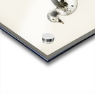 Harelda Hyemalis Impression Acrylique