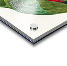 Red-and-blue amazon  Impression Acrylique