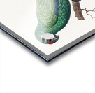 Military macaw Acrylic print