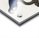 Arimanon parakeet  Acrylic print