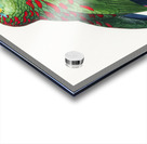 Black lory  Acrylic print