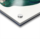 Cuban parrot  Impression Acrylique