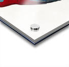 Crimson rosella  Acrylic print