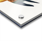 Sun parakeet  Acrylic print