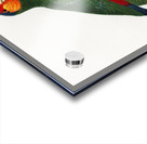 Red-lored parrot  Acrylic print