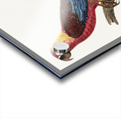 Cuban red macaw  Acrylic print