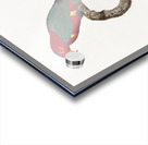 Papuan lorikeet  Acrylic print